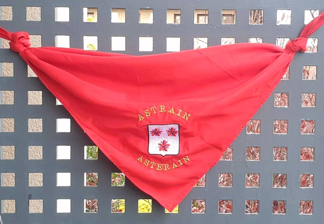 Información fiestas Astráin